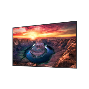 Samsung QMB 65” - Angled View